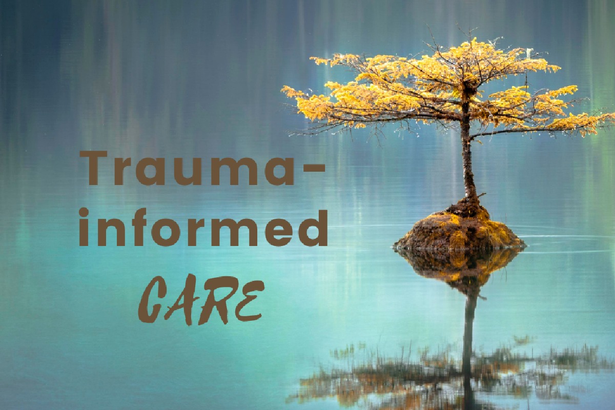 Trauma-informed Care Basics