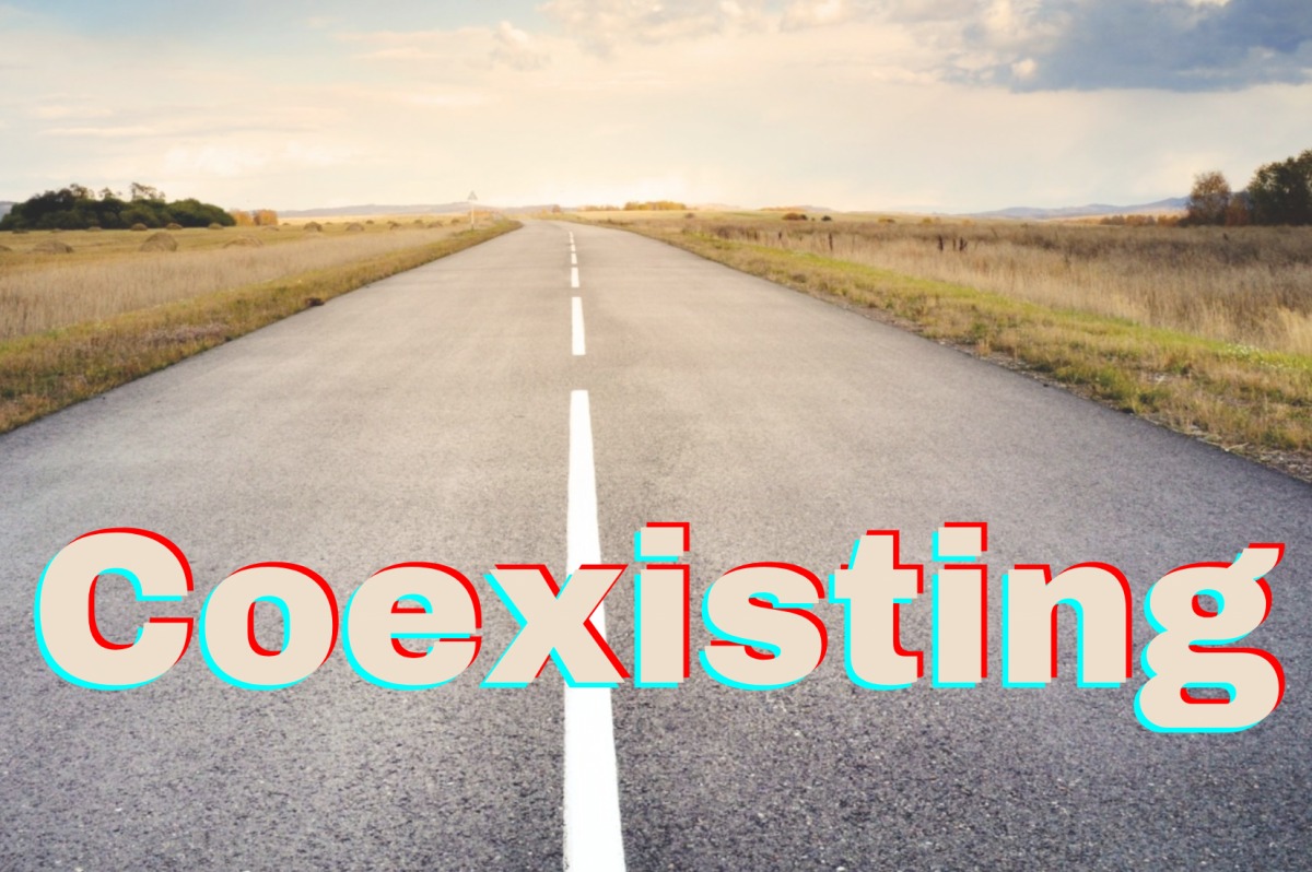 "Coexisting" Facilitator Training