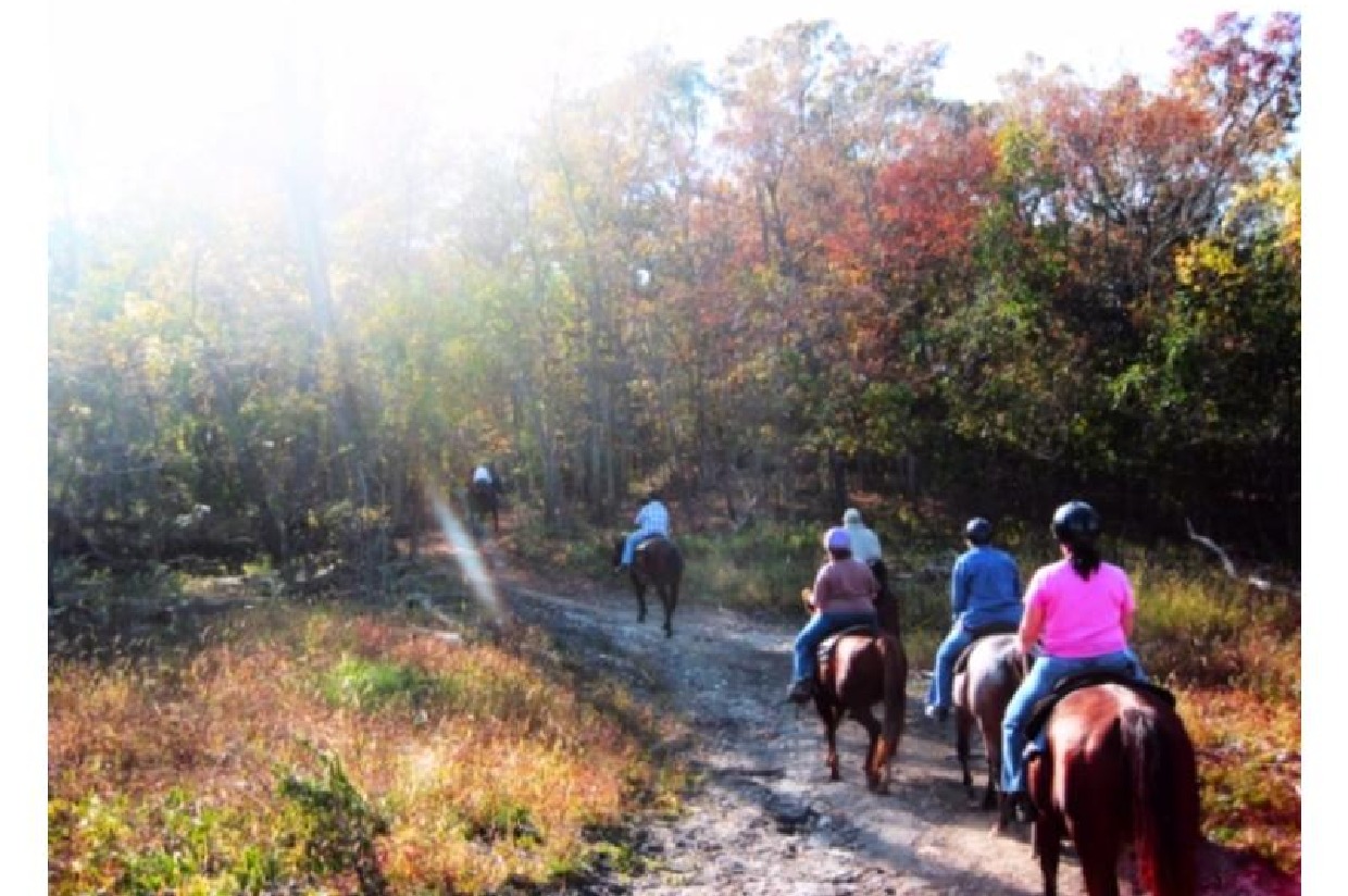 5 HORSEBACK RIDING FOR 4 AT JESTER PARK EQUESTRIAN CENTER donated by