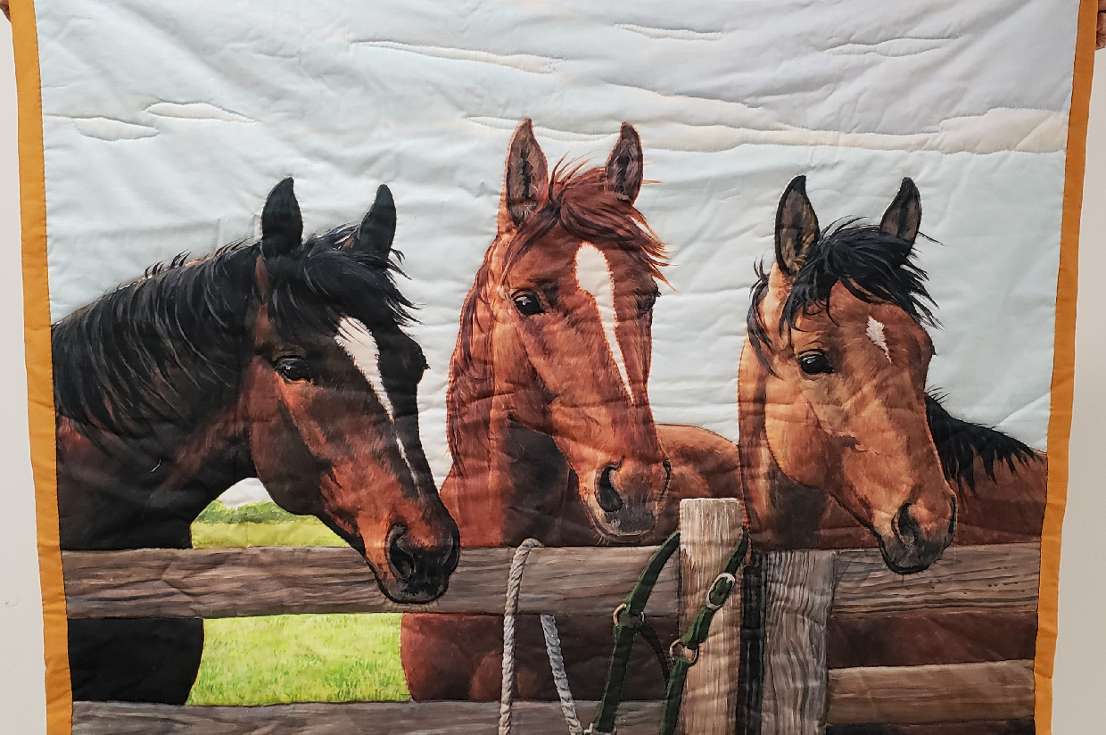12 Quilted Horse Blanket Gala Silent Auction St. Rose of Lima