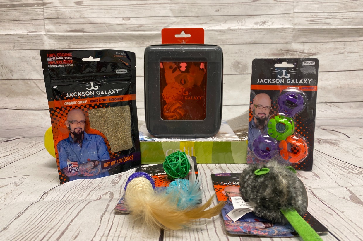 Jackson Galaxy Bundle with Cat Scratcher Let the Shenanigans Begin