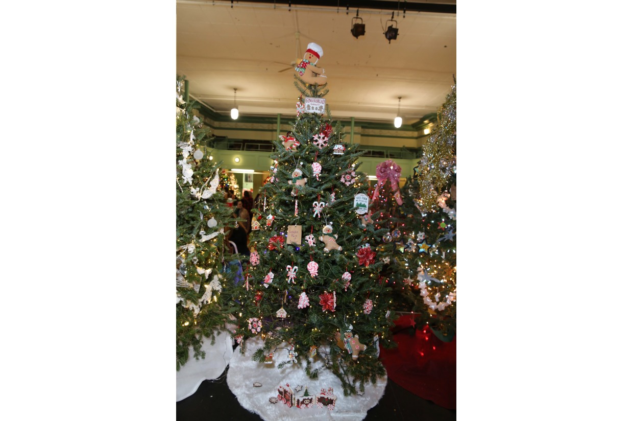Tree 44 Langdon Place of Exeter Festival of Trees 2023 Festival