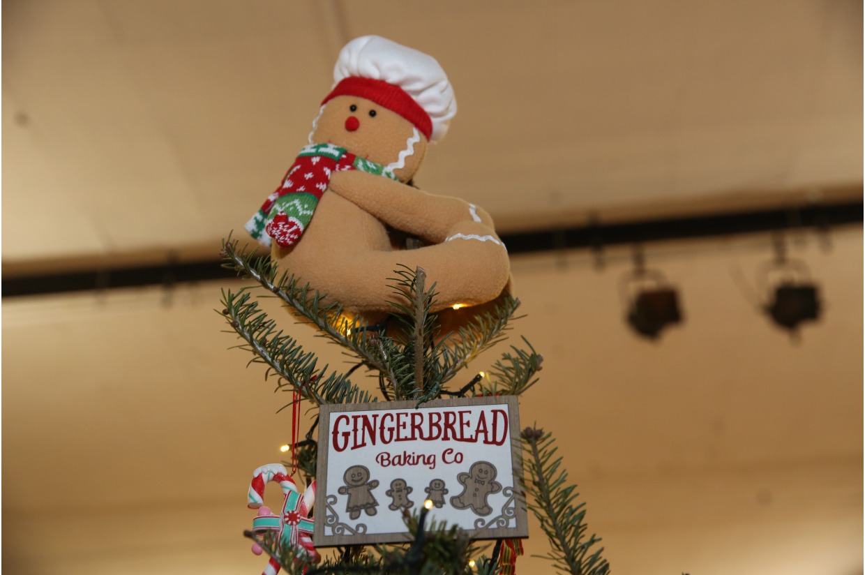 Tree 44 Langdon Place of Exeter Festival of Trees 2023 Festival