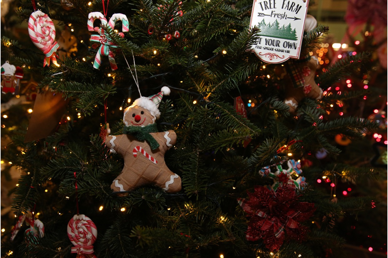 Tree 44 Langdon Place of Exeter Festival of Trees 2023 Festival