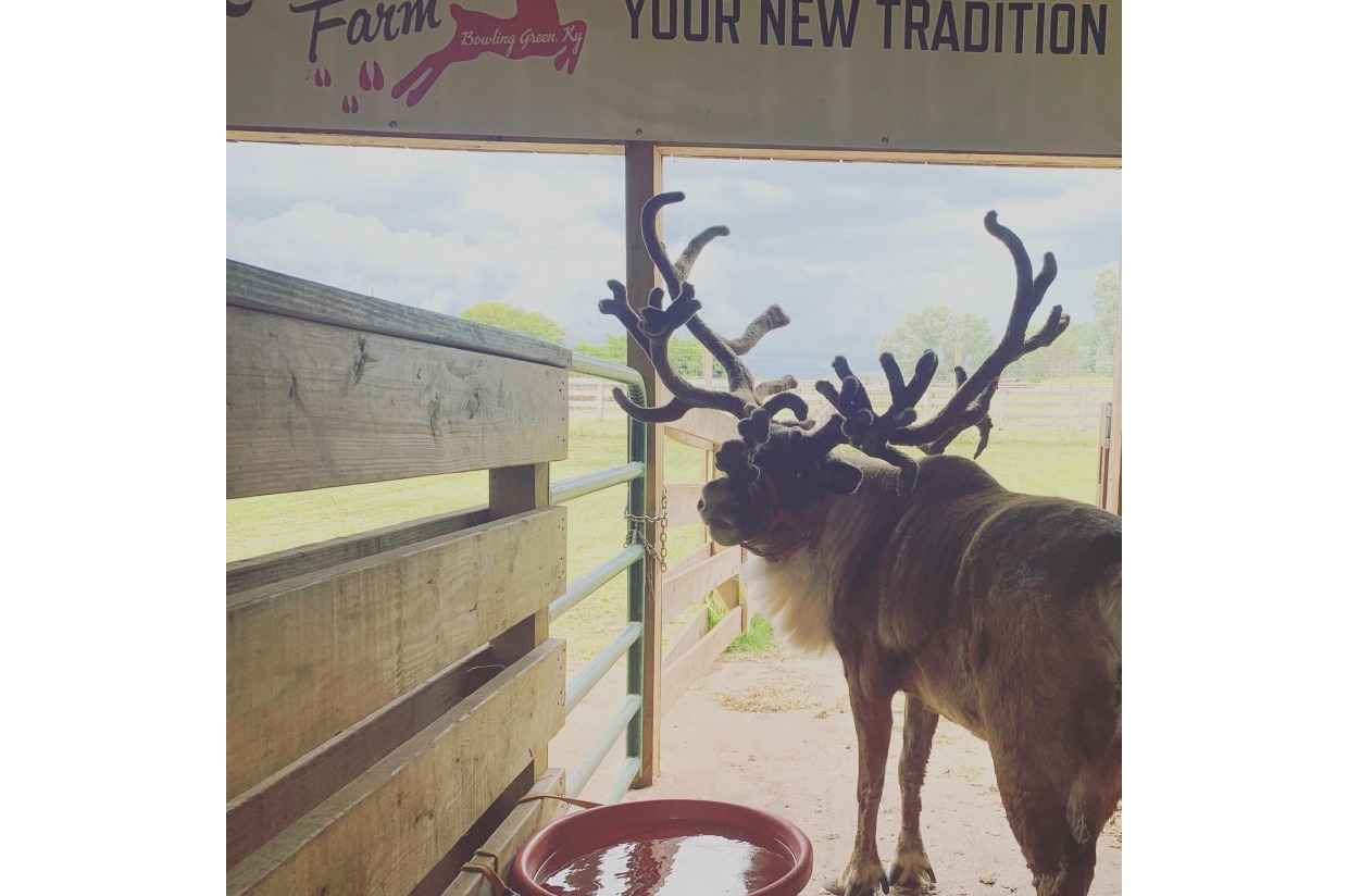 4 Tickets to the Reindeer Farm in Bowling Green, KY Beech Elementary