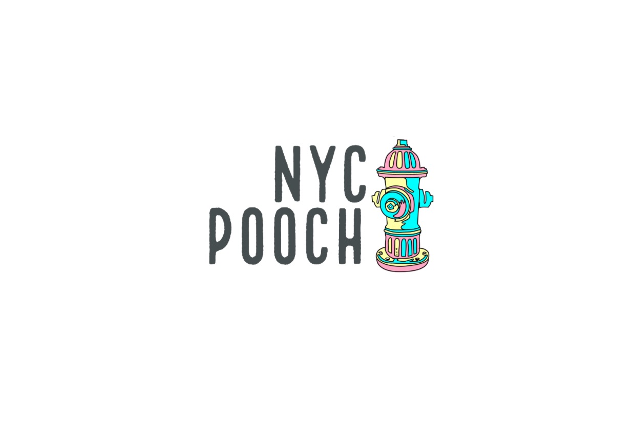 1 Week of NYC Pooch Dog Walking photo