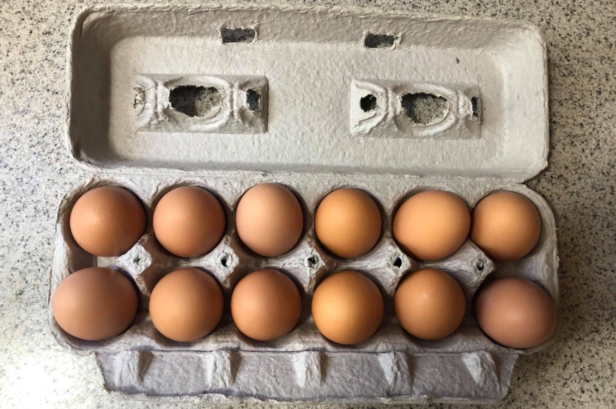 Farm Fresh Local Eggs 1 Dozen ChesterfieldGoshen Children’s Fund Fundraiser Chesterfield
