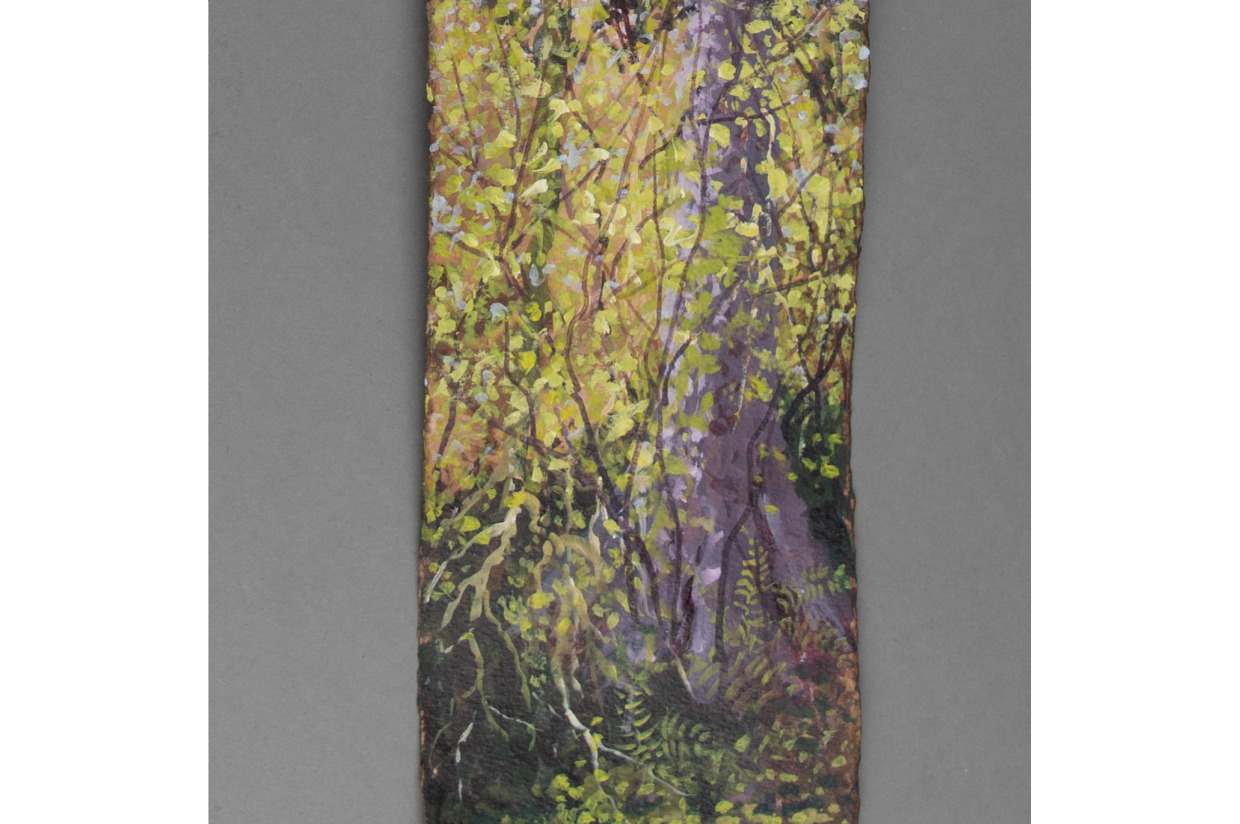 Dappled Woodland | 2023 Frogwood Collaboration OnLine Auction ...