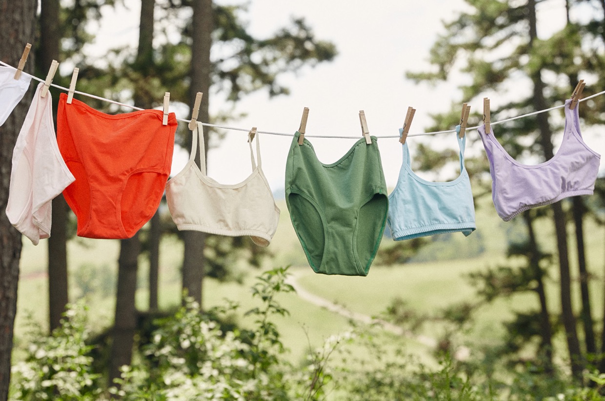 Lake Jane Studio Gift Certificate (50) Sing Out NC for Reproductive Rights Sing Out NC