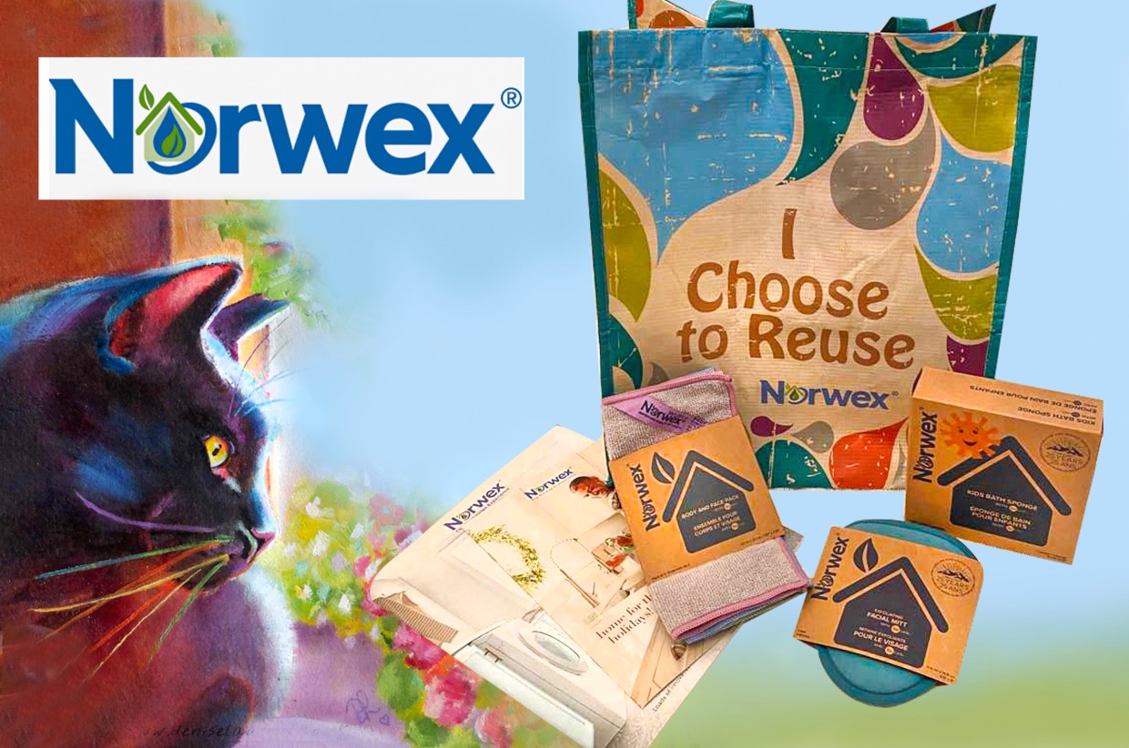 Norwex Facial & Body Items For the Cats' Sake Winter Auction '22
