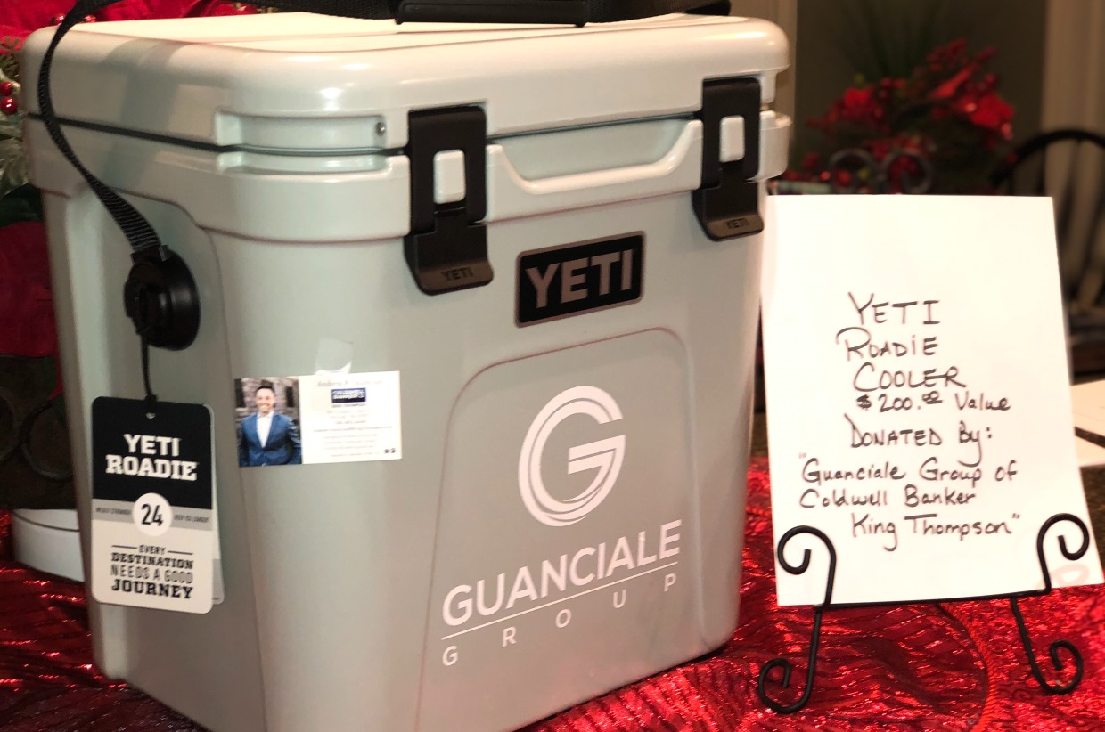 ice pack for yeti roadie 24