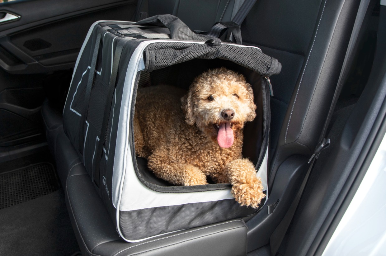 Sherpa Forma Frame Pet Carrier 2024 Acatemy Awards Happy Cats Haven