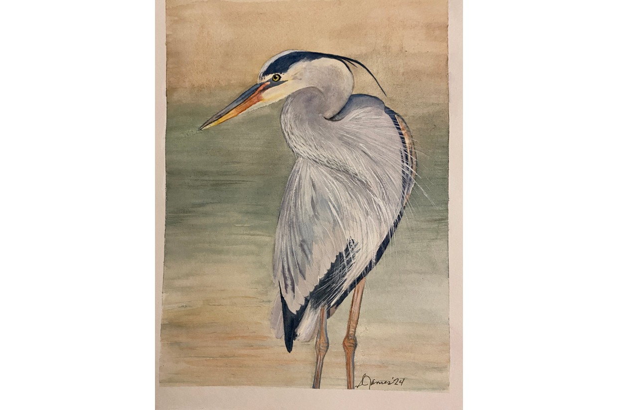 Watercolor Blue Heron by Susie James Cocktails with the Critters 2024