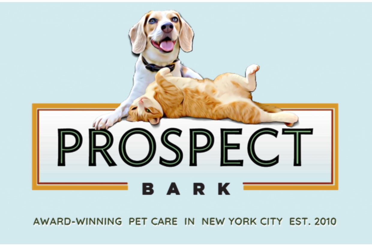 Doggie Daycare Staycation Auction for Paws Brooklyn Animal Action