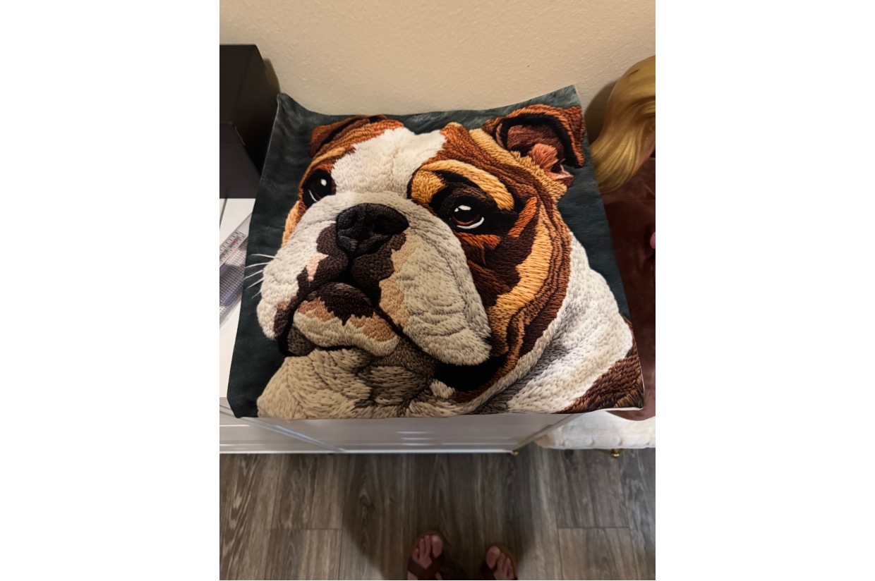 'Merica Female English Bulldog Throw Pillow | Red & White Colored in Wheelchair