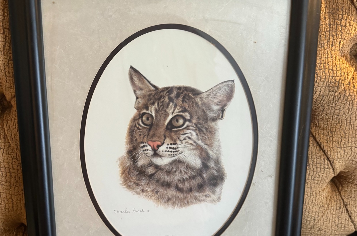 Set of 5 (Snow leopard drawing not pictured) Cedarhill Animal