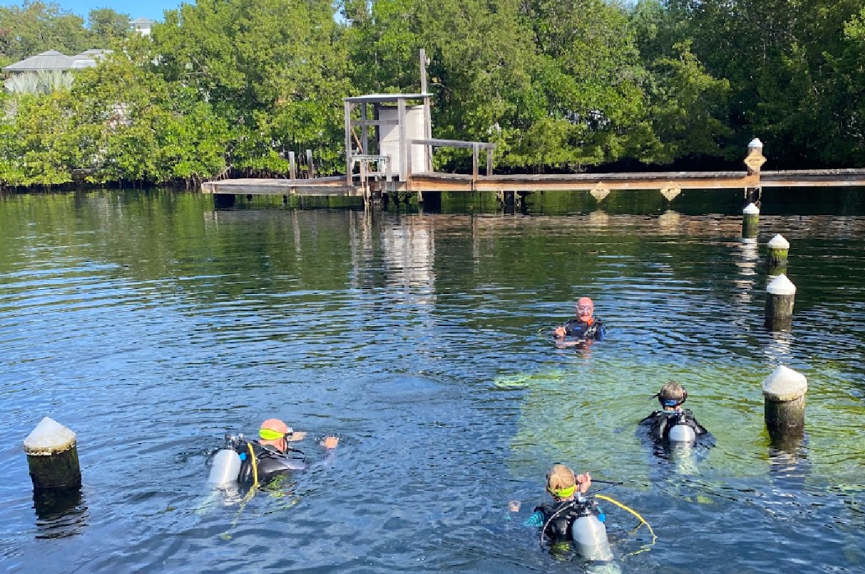 Scuba Diving in Key Largo, Florida Fins Attached Annual Gala Auction
