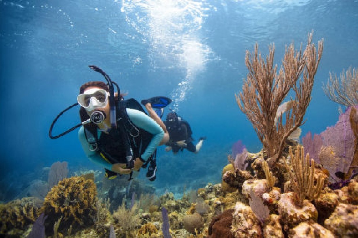 Open Water Scuba Class and Pool Training | SAVING OUR SEAS FROM A MILE ...