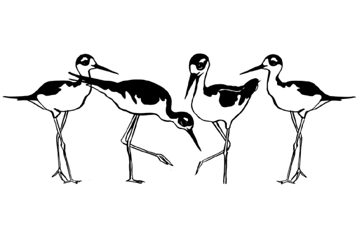 Stilts (50" X 60" drawing) Paw Prints Frank Bette Center for the