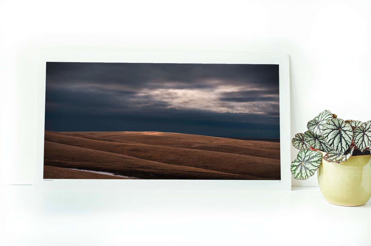 I See the Light | Print #1 | 2026 Grandview Gallery Art Auction ...