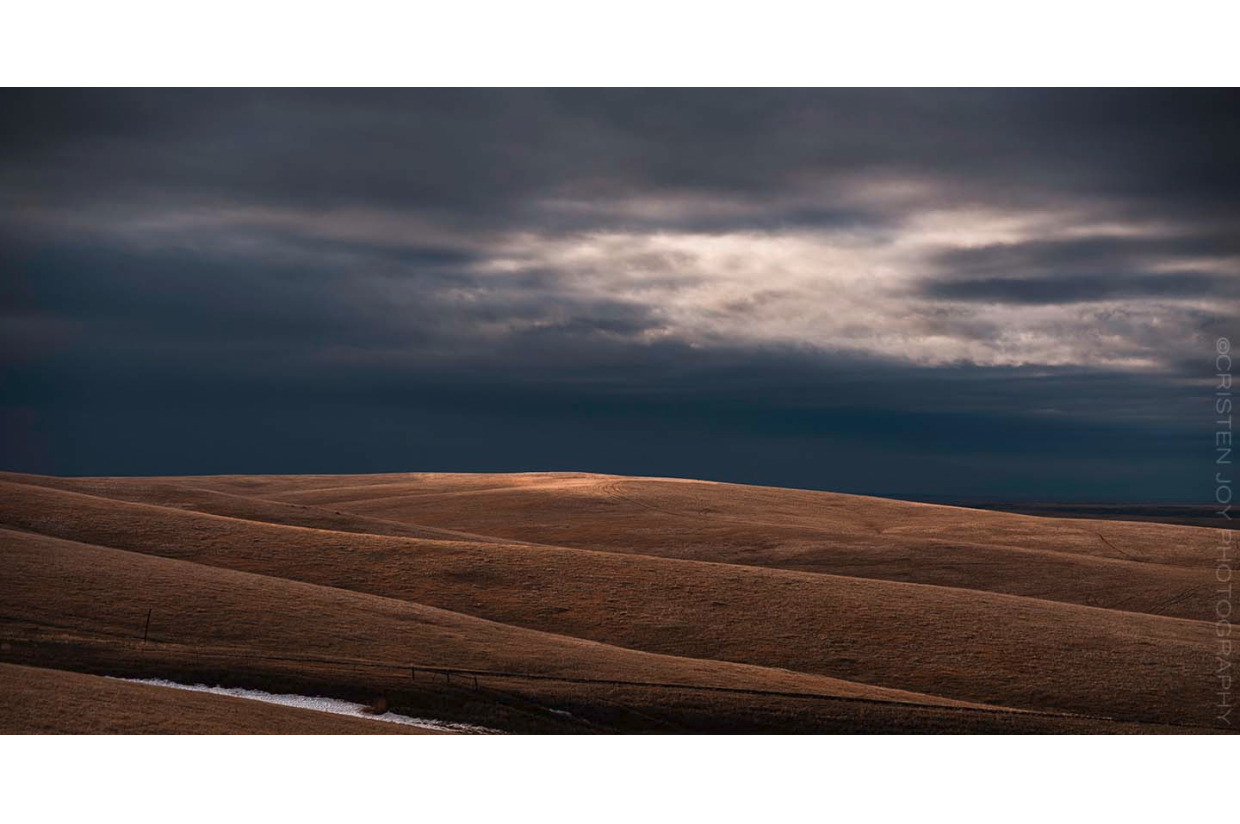 I See the Light | Print #1 | 2026 Grandview Gallery Art Auction ...