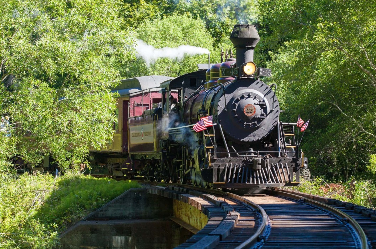 2 Skunk Train Tickets + $50 North Coast Brewery Pub Food ($180 value