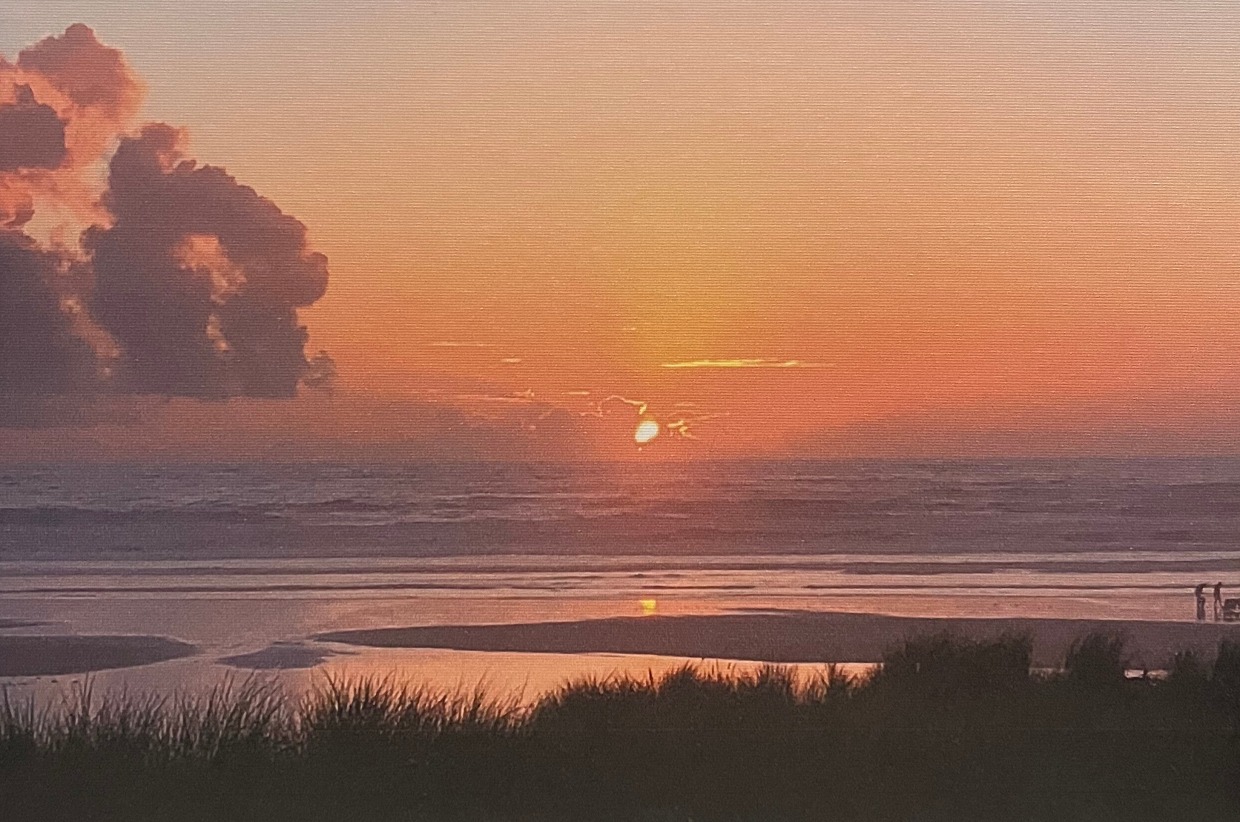 Palm Sunday Photograph 2024 Holy Week Art Show First Covenant