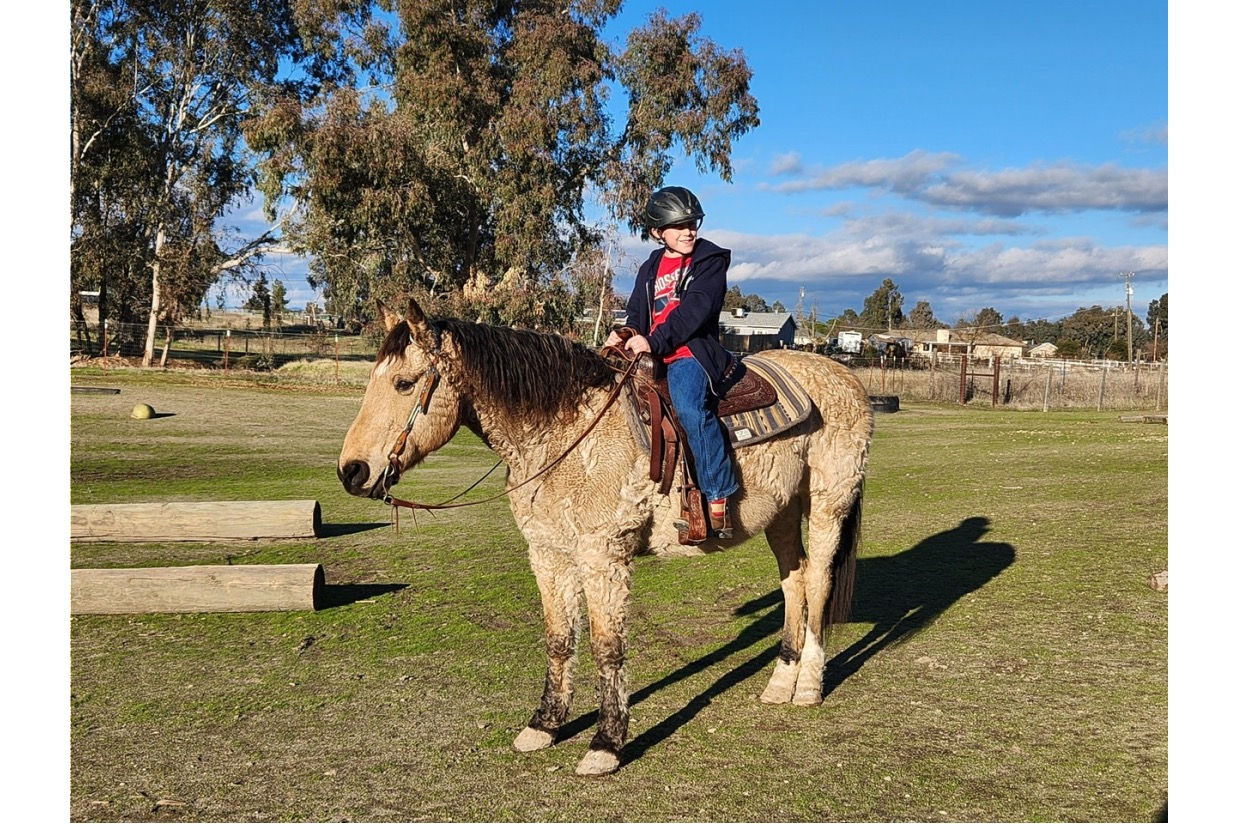 Horseback Riding Lessons Crossroads Annual Spring Fundraiser 2024