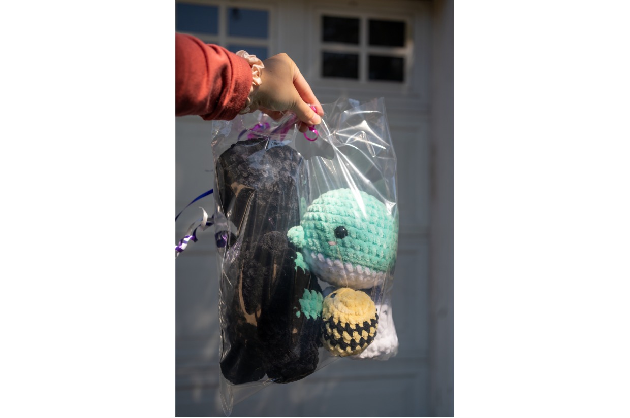 Crochet Plushies - Small Bundle #3 | Renewal Missions Vision Casting ...