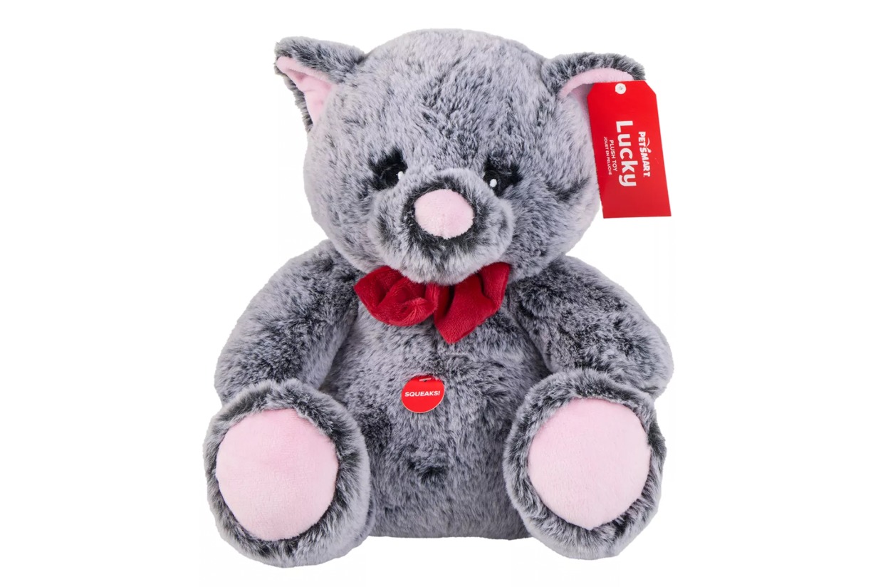 PetSmart Gift Card (50) with Plush Cat "Lucky" Fall Auction FuRRR