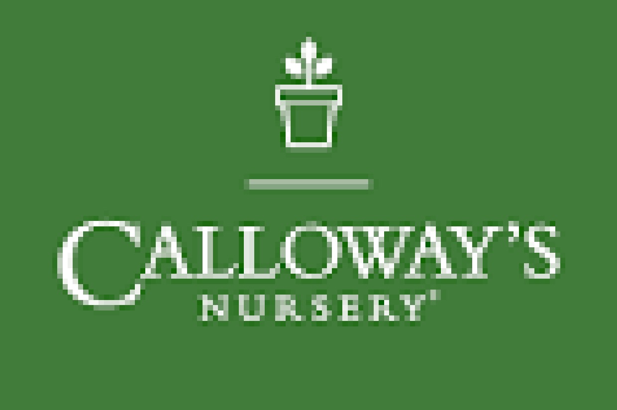 100 Calloway's Gift Card 2022 VVCC Student Ministry Auction Valley