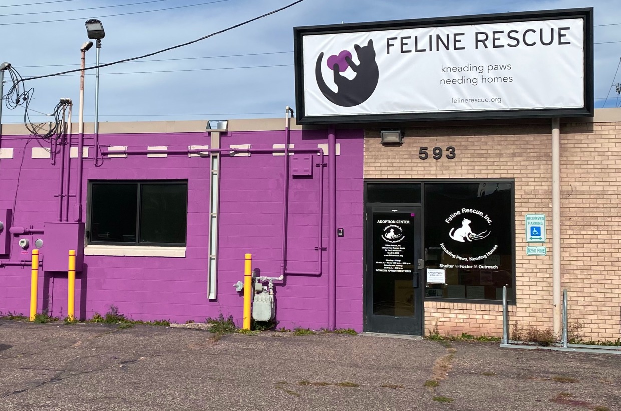 Shelter Tour with Cats Crusade for Community Cats! Feline Rescue