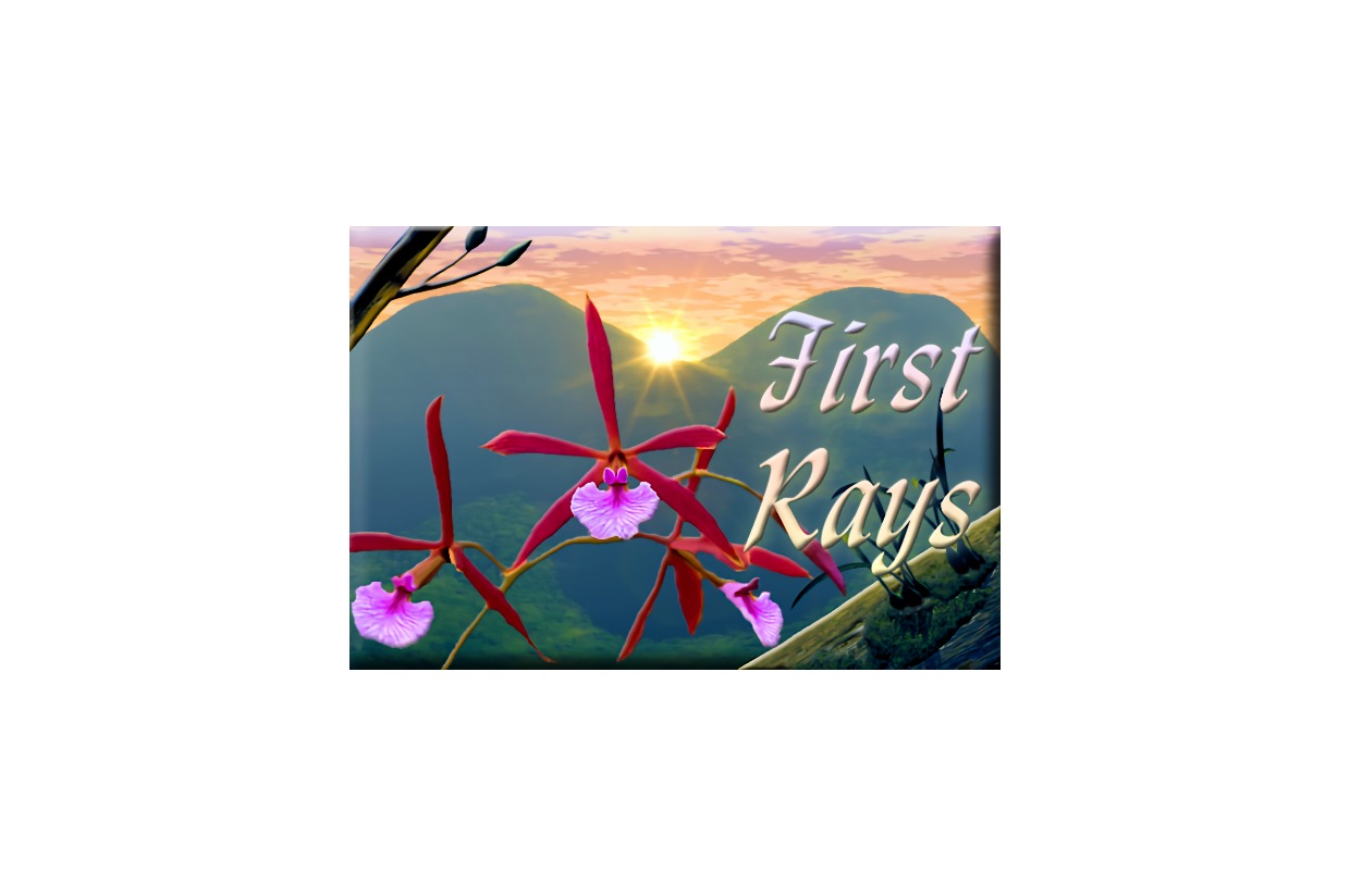 Kelpak Superior Biostimulant #2 | AOS Fall 2022 Auction | AOS | BetterWorld