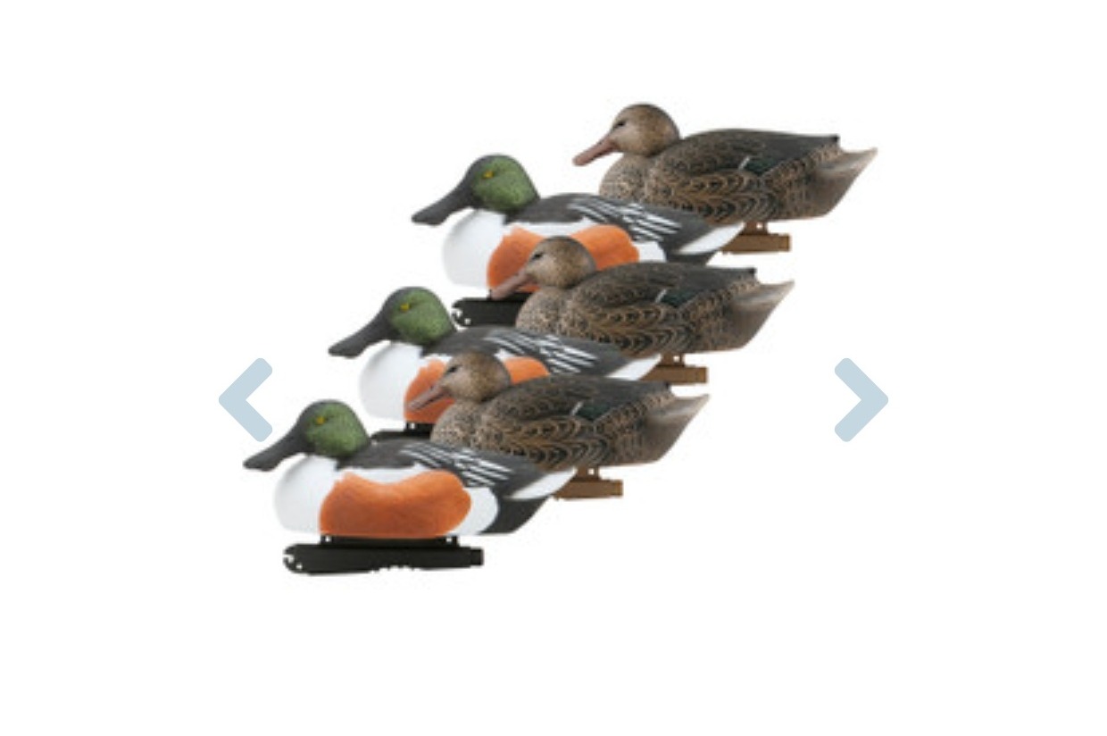 GHG Oversized Shoveler Duck Decoys, 2 DOZ 2023 Spring Grand Old