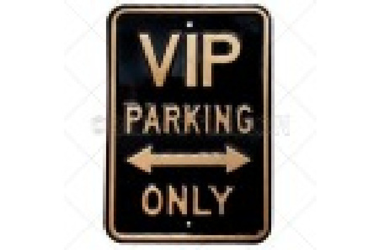 VIP Parking Masquerade Ball Gala Auction 2024 Temple Emanuel of