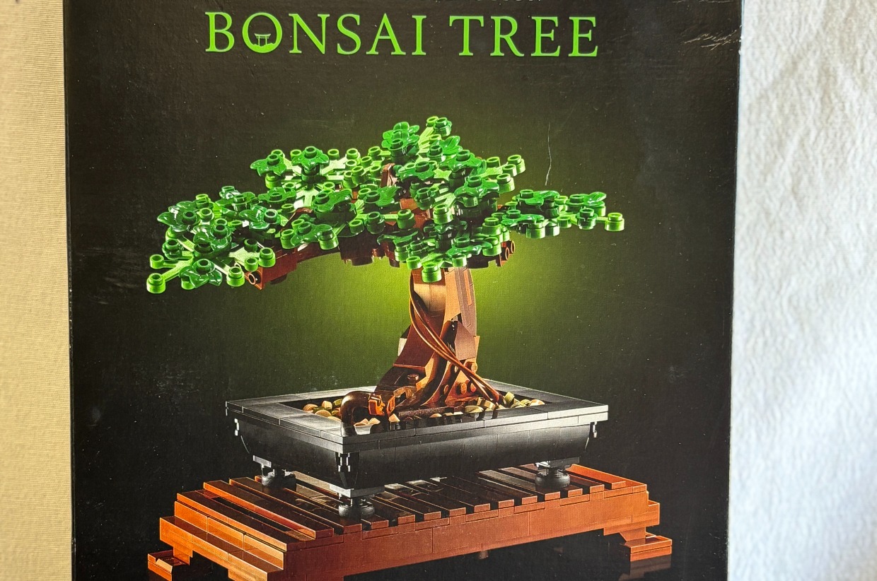 3rd Grade LEGO (Bonsai) #24 — Glow & Groove Art Jam — Wingate ...