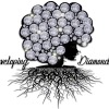 Developing Diamonds Inc