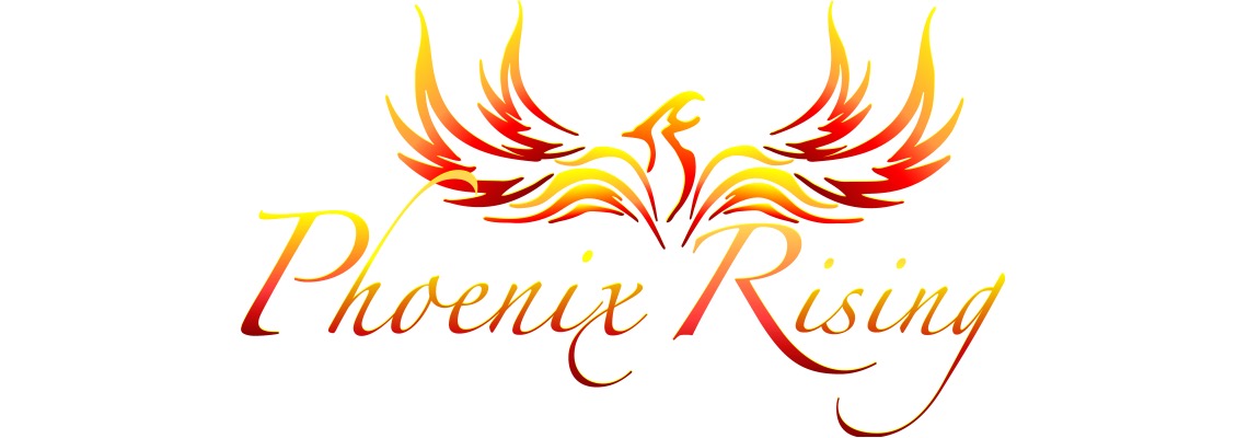 Phoenix Rising Music Foundation, Inc. on BetterWorld